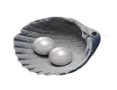 60 Echo Beads